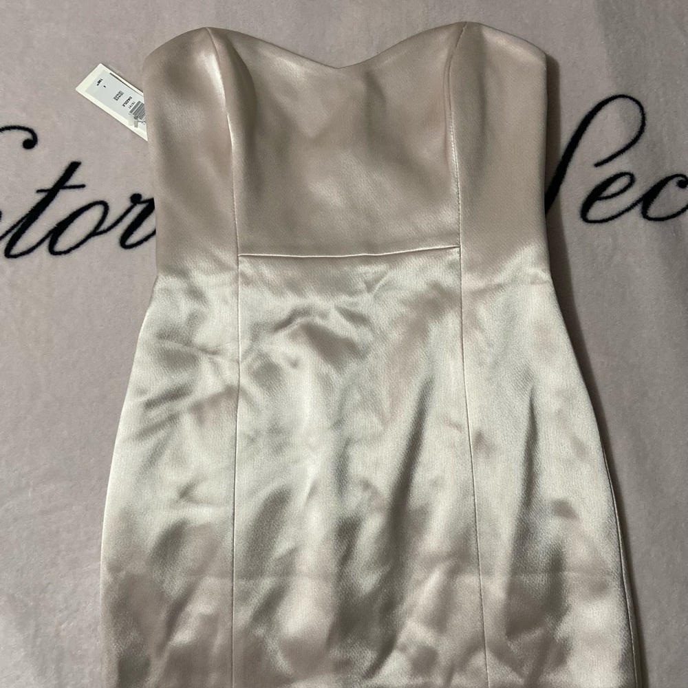 NWT Aritzia Ten By Babaton Dress
